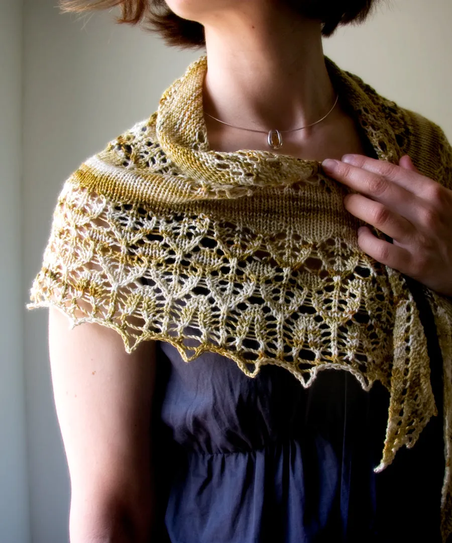 Fledge Shawl